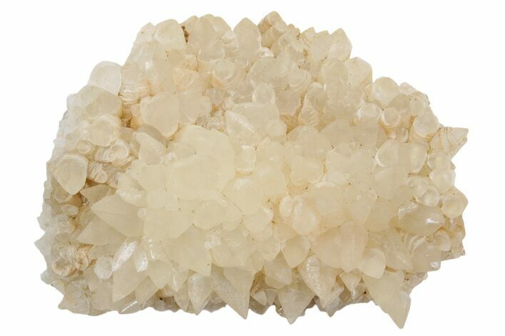 Sharp Dogtooth Calcite Crystal Cluster - Utah #360656